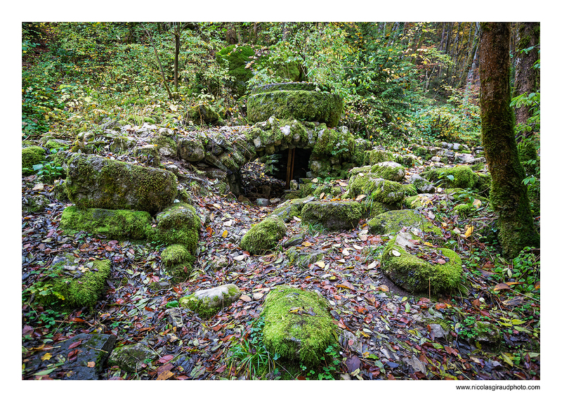 Pas de Rocheplane & Plateau des Petites Roches - Parc de la Chartreuse