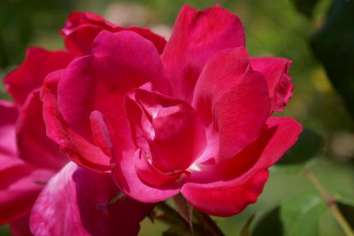 Le cartoscope du jeudi 24 octobre 2024