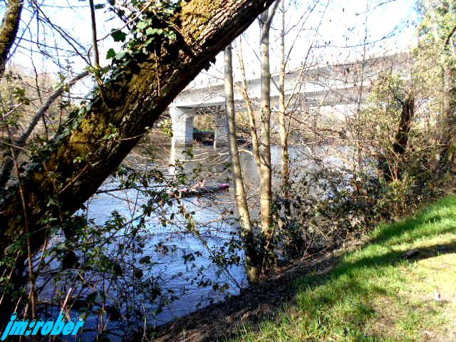 Balade printanière sur les bords de Vienne (2)