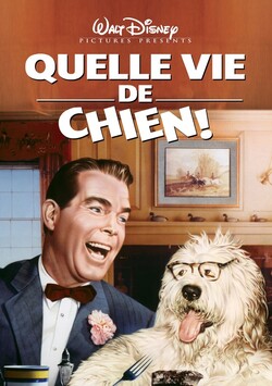 Quelle vie de chien