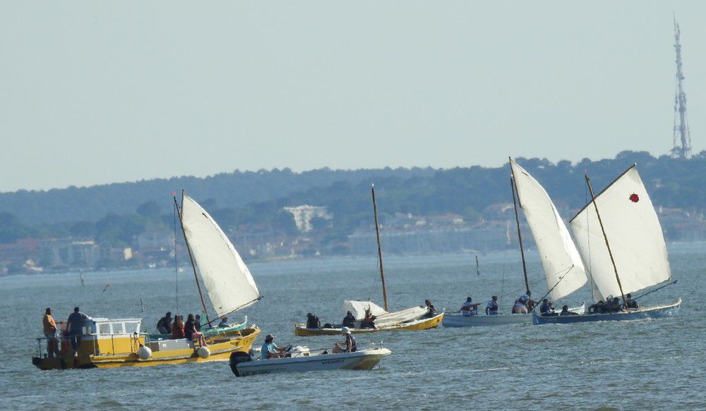 Voiles en liberté 2024 à Andernos - Virement de bord des pinassottes...