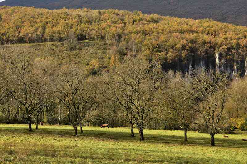 2021.11.01 L'automne à la campagne ! 2