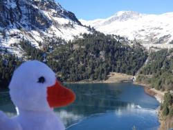 Mascotte en montagne