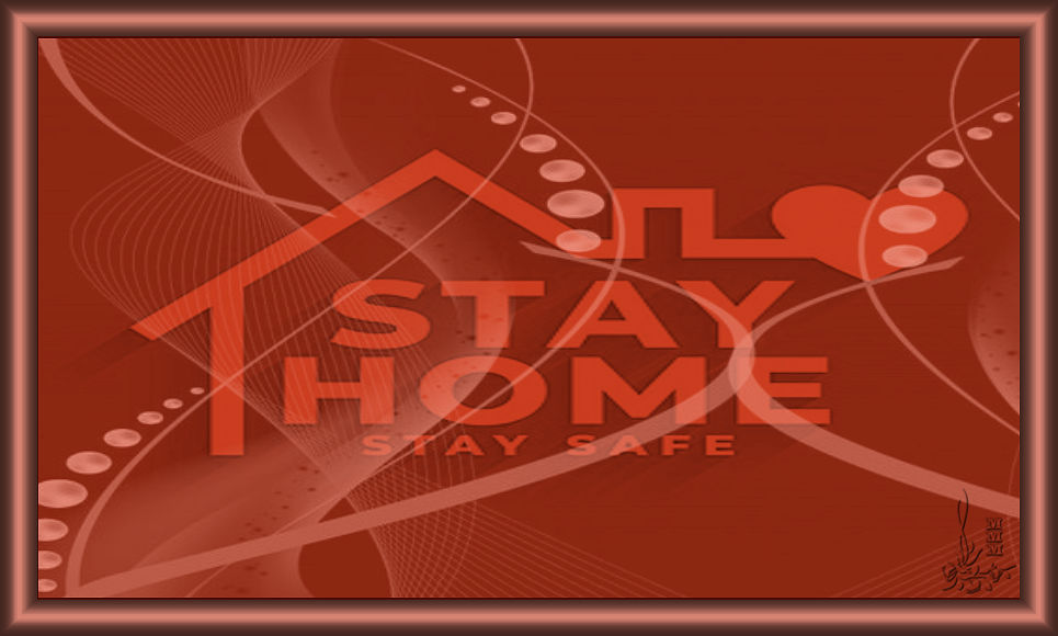 STAY HOME II