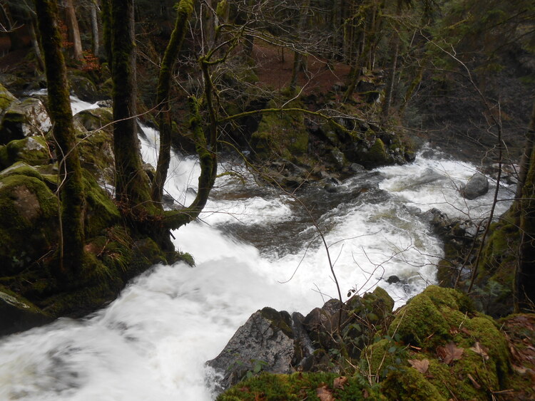 Vosges- Le saut du bouchot/le Mettey