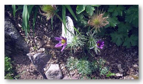 jardin et objets des Panrées