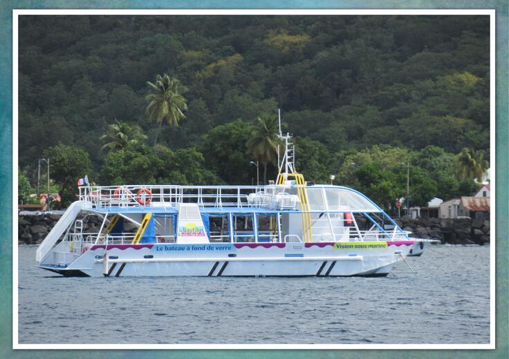 Guadeloupe -Basse-Terre : Réserve Cousteau
