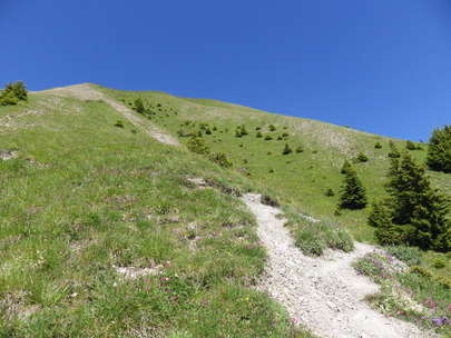 Topo Mont Charvin