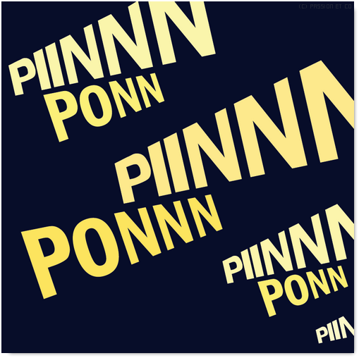 PINN PONNN
