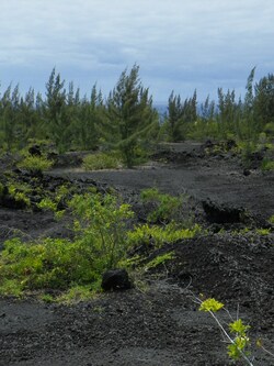 La route des laves