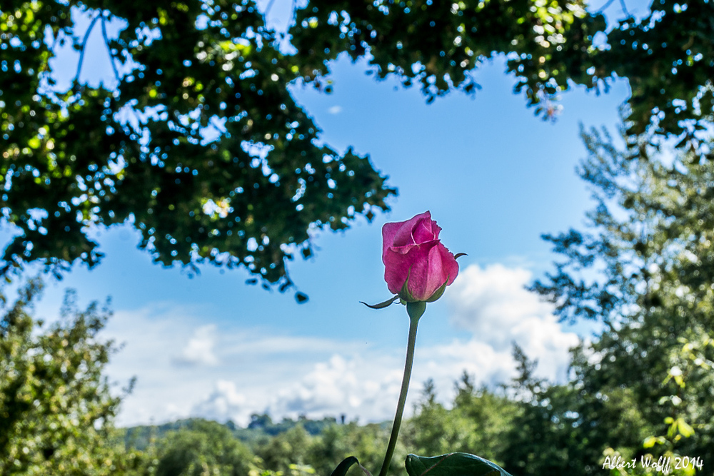 Promesse d'une  belle fin d'été?