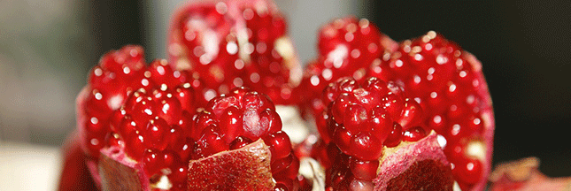 Grenade, fruit idéal pour salades fraîches [recettes bio]