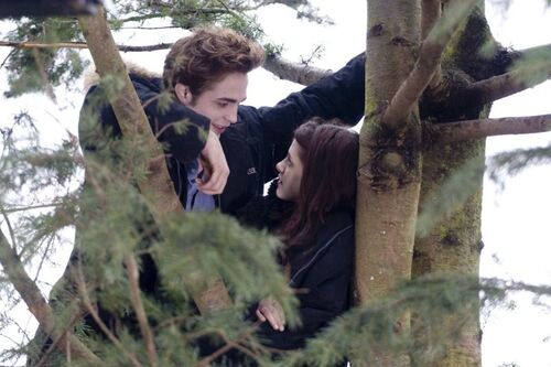 image Bella & Edward