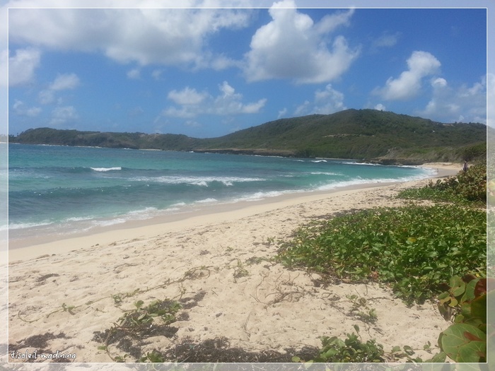 Cap Macré, le Marin, Martinique