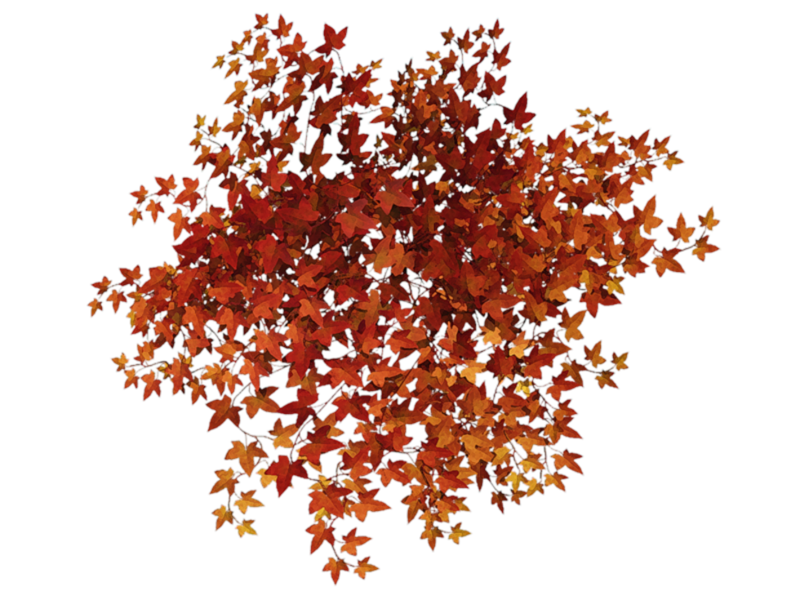 Eléments clusters d'automne 1