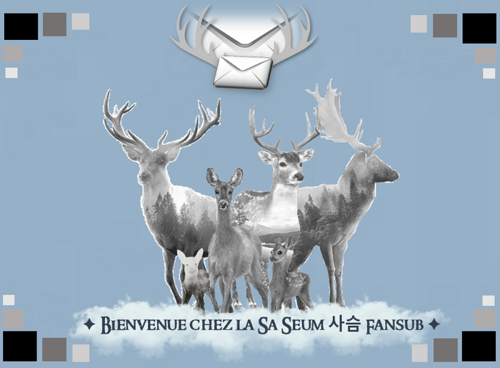 ✦ Bienvenue chez la Sa Seum ~사슴~ Fansub ✦