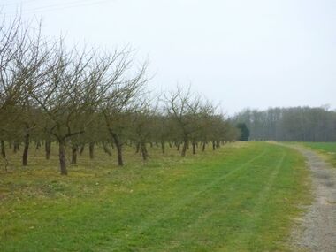 Le circuit des Ruaux