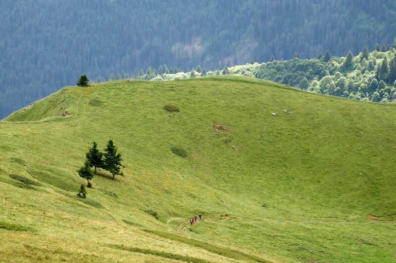 Le col Ratti