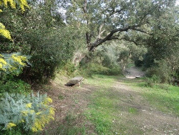 Au bord du ruisseau