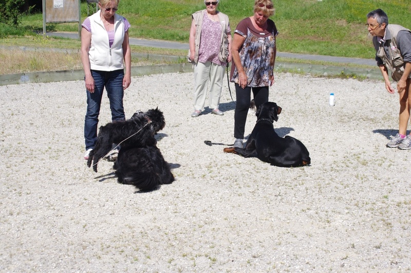 Entraînement du 27 juin 2012 