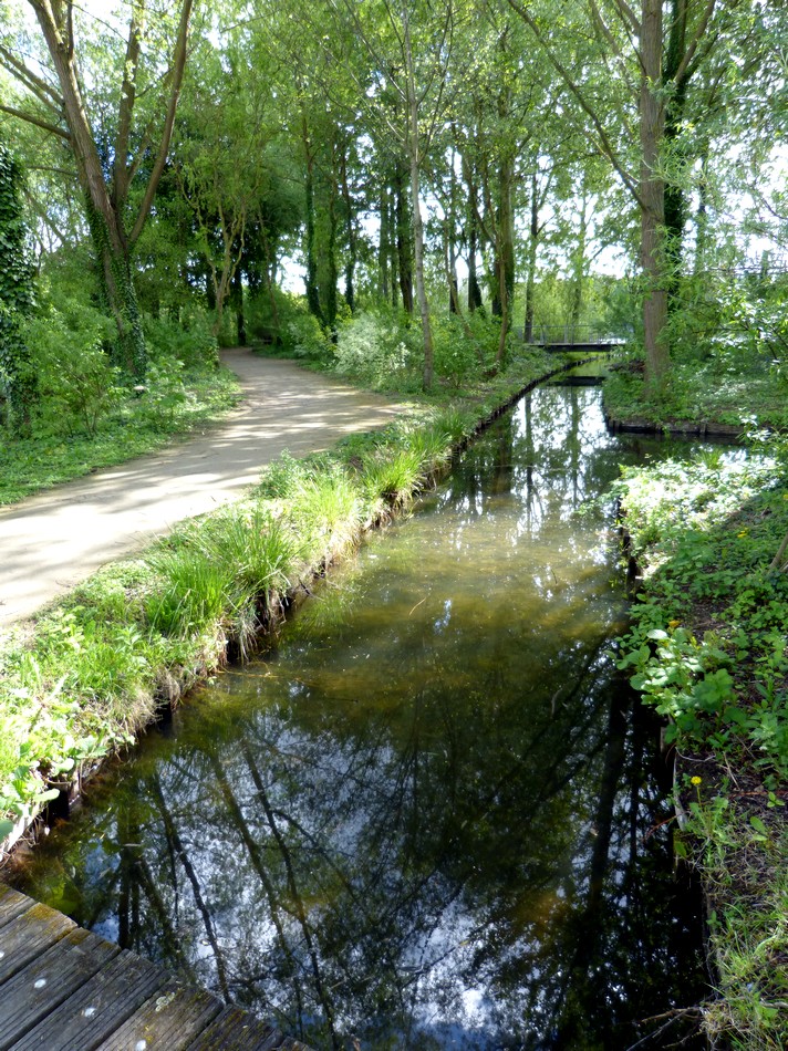 Plongeon dans le vert