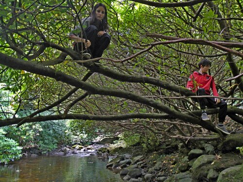 Tollymore forest et fin