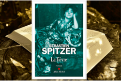 La fièvre - Sébastien Spitzer - ♥♥♥♥