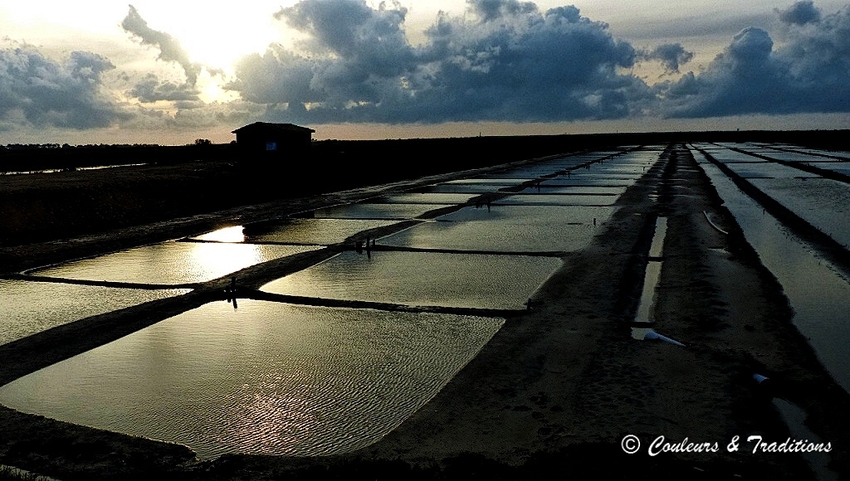 Salins de Loix 