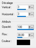 Animation Jour de l'An 2021