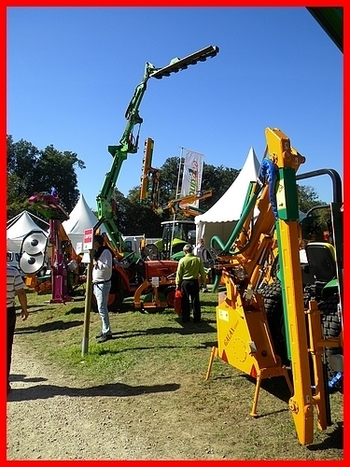 Les 1ères Bac pro en visitent au Salonvert 2010