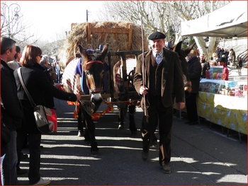 Fête de la Saint-Valentin 2013 à Roquemaure (Gard)