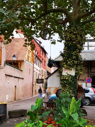 Alsace : Eguisheim ( 2 )