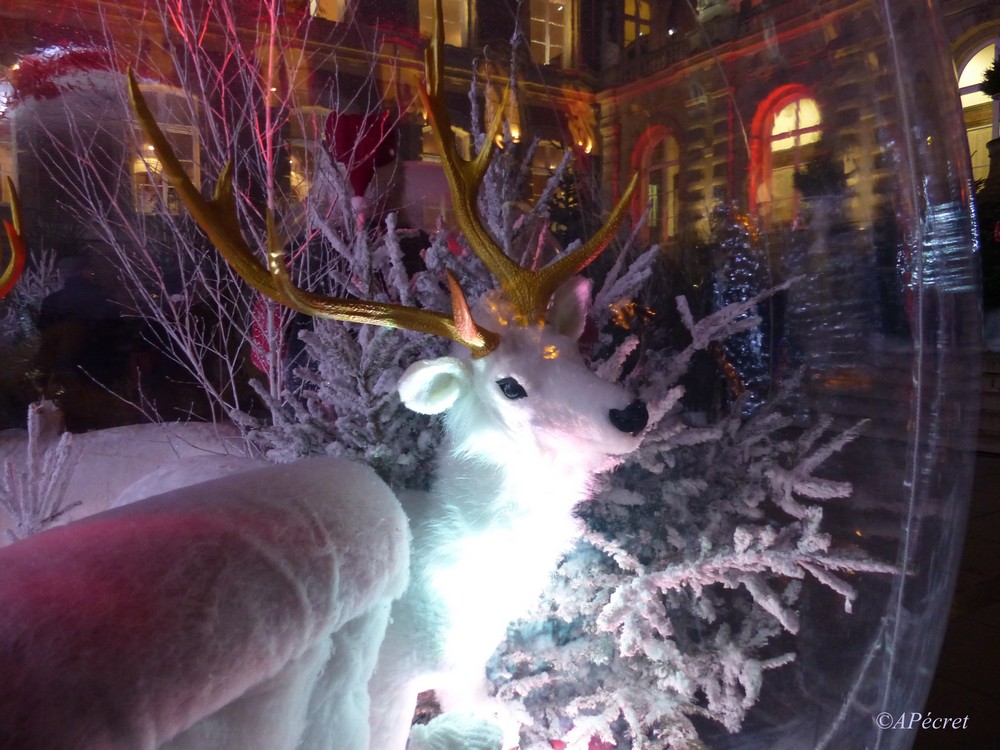 Le Marché de Noël d'Amiens (2) 