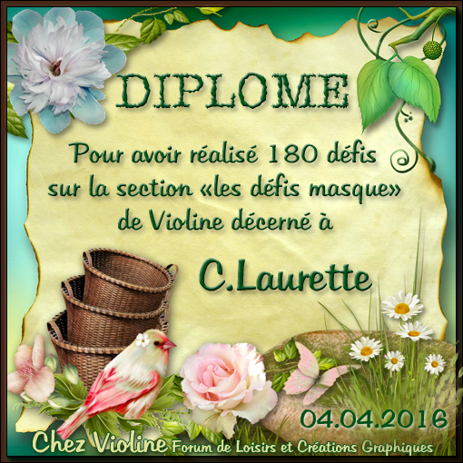 DIPLOMES RECUS CHEZ VIOLINE 