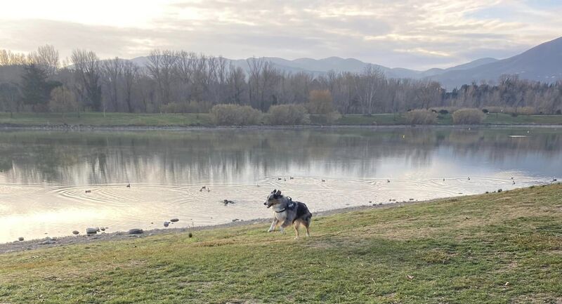 Au lac de bon matin... en famille !