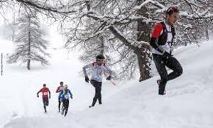 season marathon winter runners running 