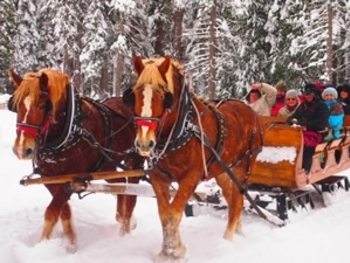 sleigh-ride2-sm