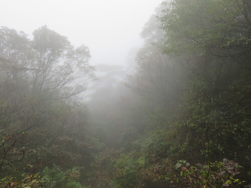 Les Huangshan (Montagnes jaunes)