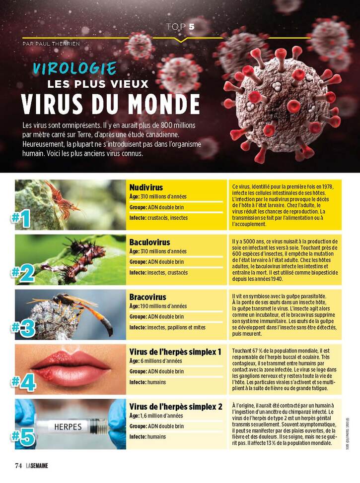 Tout Savoir - 3:  Virologie - Les plus vieux virus du Monde