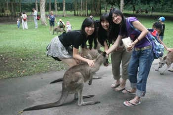 australia-zoo-078