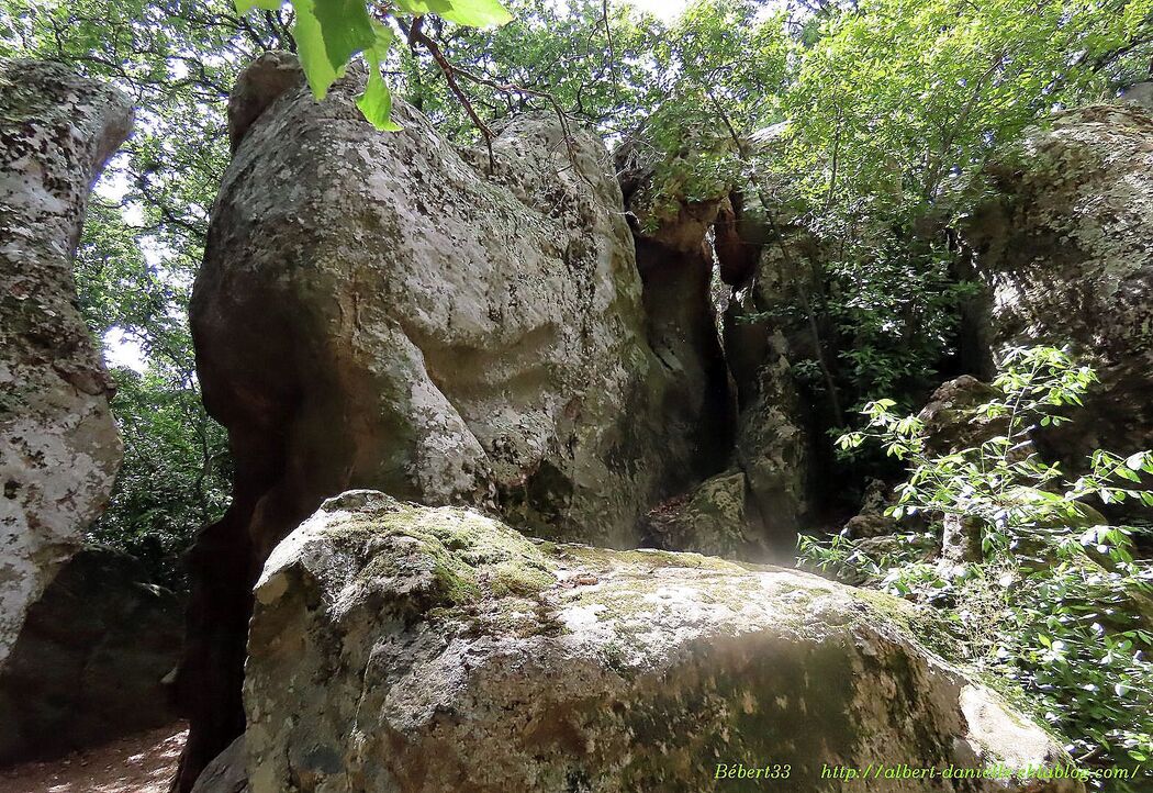 l'étang de la Capelle dans le Gard