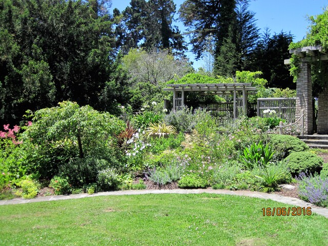 Le jardin botanique du Golden Gate Park - San Francisco - Californie
