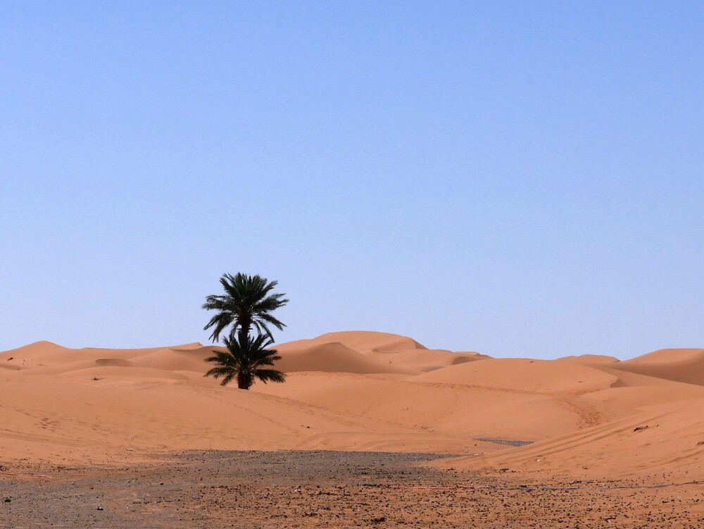 Merzouga - les dunes