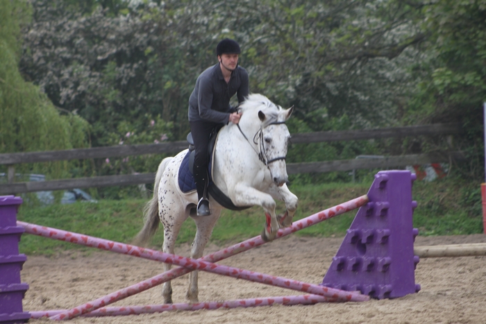 C.S.O. du 20/05/2012 - Centre Equestre du Petit Gomare