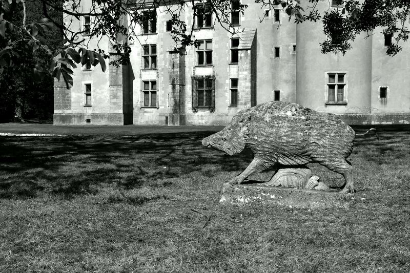 2019.08.13 Parc et château de Meillant (départment du Cher) 1