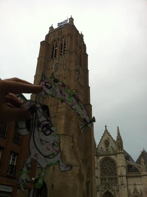 Premiers retours de voyage de mon loup aplati voyageur