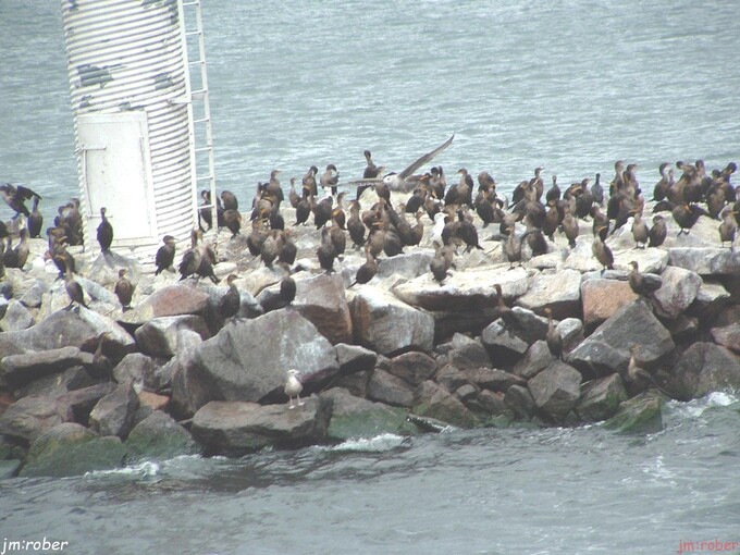 Quel souvenir ses 1000 islands (3)