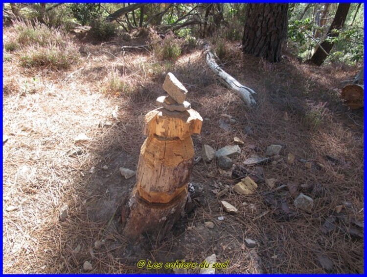 St Jean du Gard, le pic d'Arbousse