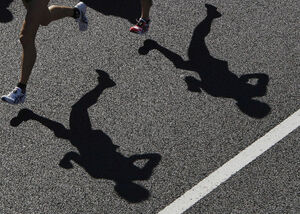 season marathon shadows runners running 