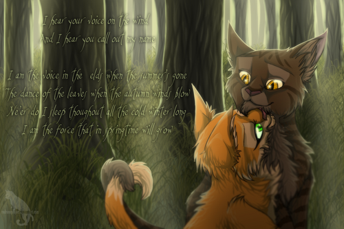 Poil d'Ecureuil et Griffe de Ronce (Squirrelflight and Brambleclaw)